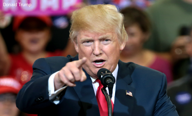 Stati Uniti: se al mid-term i democratici conquistano la maggioranza, l'impeachment per Trump è sicuro